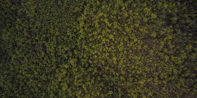 扬州中央空调智能控制方案：一部手机掌控全屋温控，大金空调如何实现智慧生活？