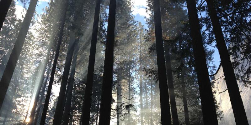 扬州大金中央空调价格及安装费用全解析:暖通工程与设备销售的避坑指南