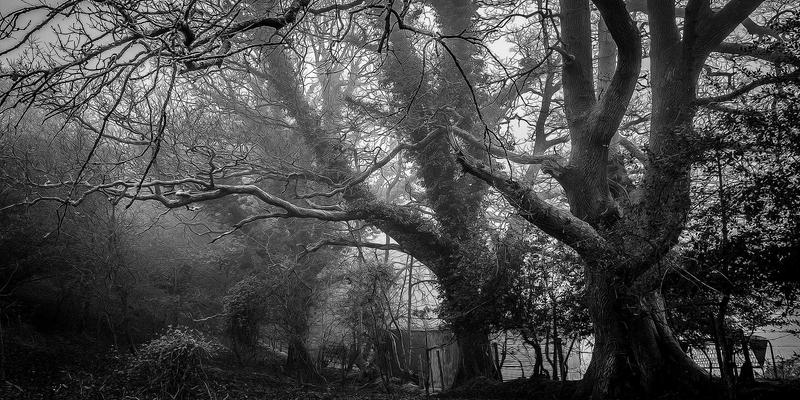 扬州老旧小区加装中央空调全攻略：从政策解读、费用分摊到邻里协调，一篇讲透